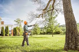 How Our Tree Care Process Works  in  Manahawkin, NJ
